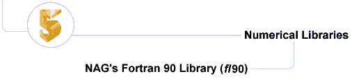 NAG Fortran 90 Library